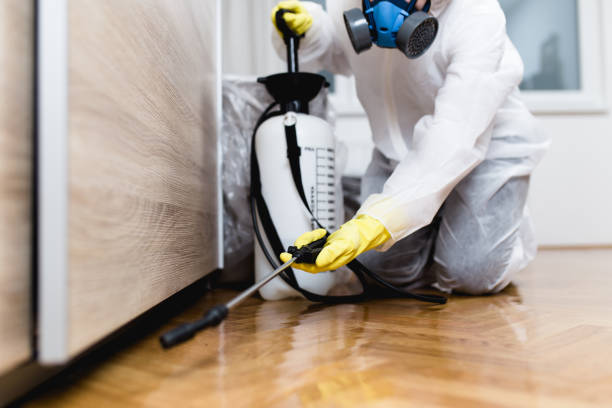 Best Commercial Pest Control Services  in Ridgewood, NJ