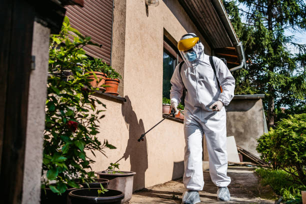 Best Exterminator Services  in Ridgewood, NJ