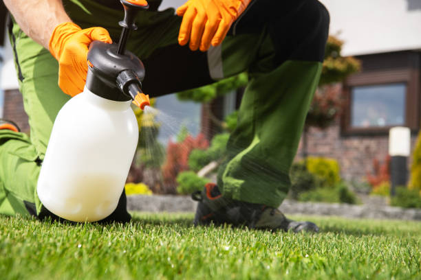 Best Cockroach Control Services  in Ridgewood, NJ