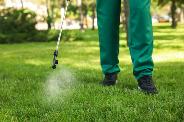 Best Termite Control Services  in Ridgewood, NJ