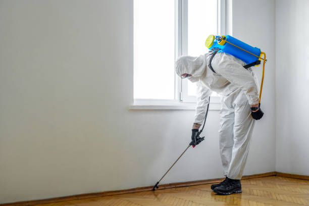 Best Insect Control  in Ridgewood, NJ