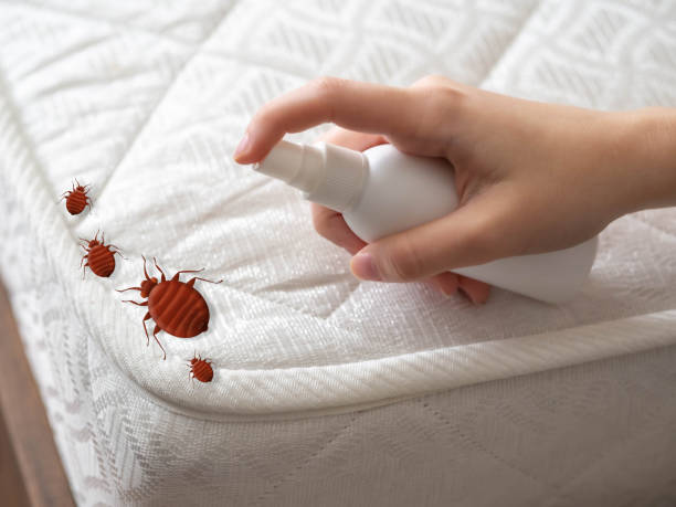 Best Pest Control Near Me  in Ridgewood, NJ