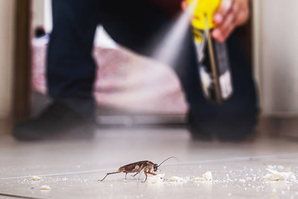 Ridgewood, NJ Pest Control Company