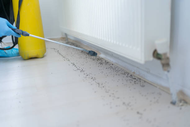 Best Pest Removal Services  in Ridgewood, NJ