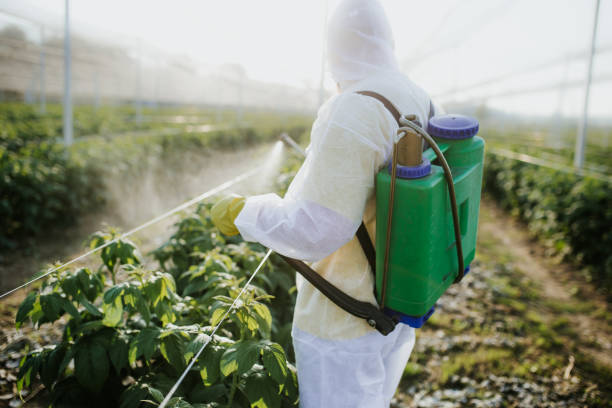 Best Mosquito Control Services  in Ridgewood, NJ